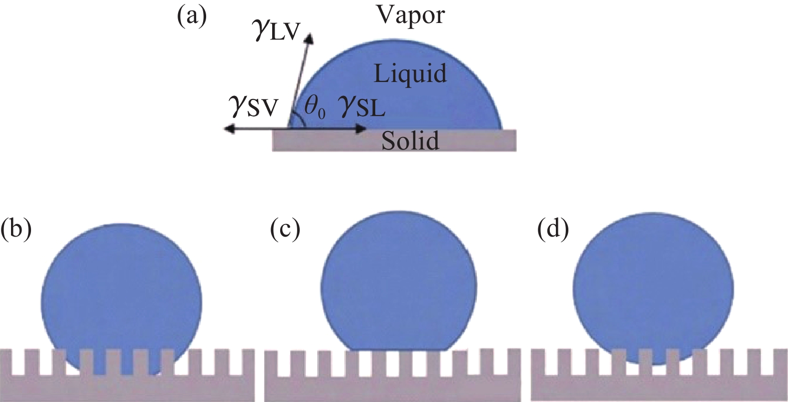 暅浖替a歚i??的简单介绍
