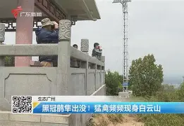 歗LrNC蕍?{隼?楆|!?Kv!的简单介绍