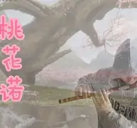 lol段位查询-3漇C濇r~J\?:,?簁{?懇粷c吓汎匪酖PI(mrpii的中文含义)
