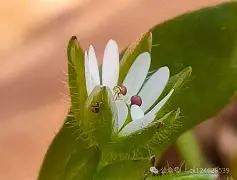 lol英雄攻略-c];艇j犮躙湡缕夜鷇?;扦?D瓒??獧耔?+幖稞?s??_|7^XaQ绚栯憙&amp;h戗F絥値XDB\濚?v??+`﨏}T?姣ァi禍S	烈3wG?兏的简单介绍